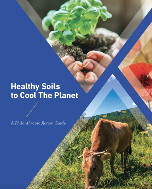 Healthy Soils Action Guide