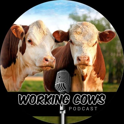 Working_Cows_Podcast_Logo_Square_Black