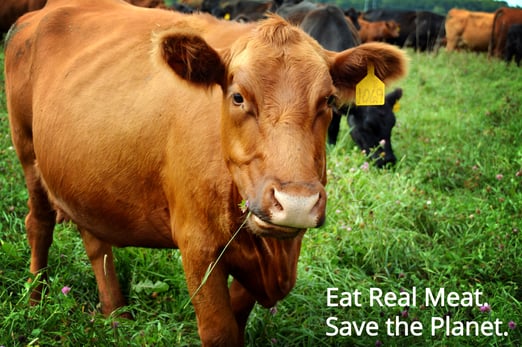 eat real meat save the planet