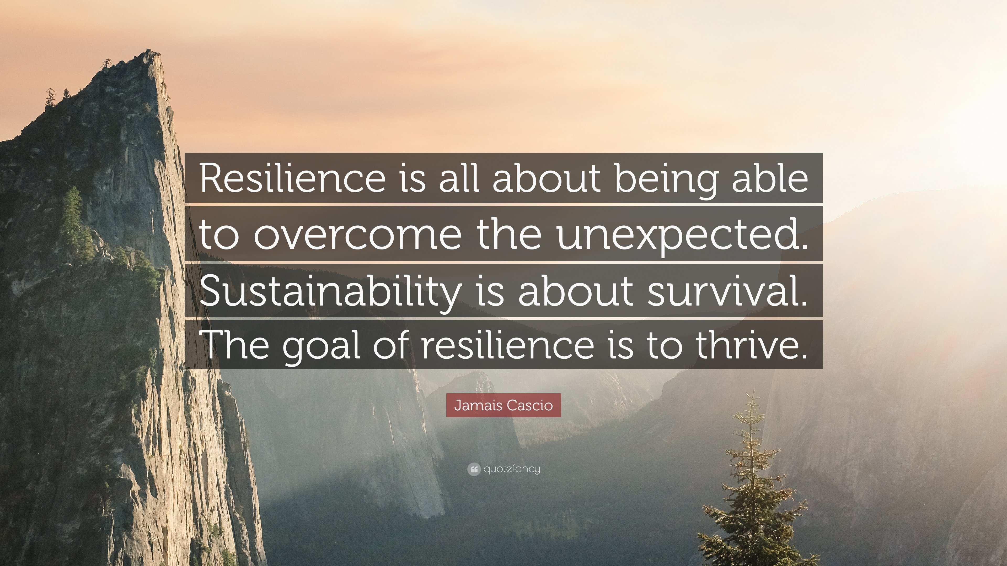 1248904-Jamais-Cascio-Quote-Resilience-is-all-about-being-able-to-overcome